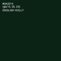 #0A2314 - English Holly Color Image